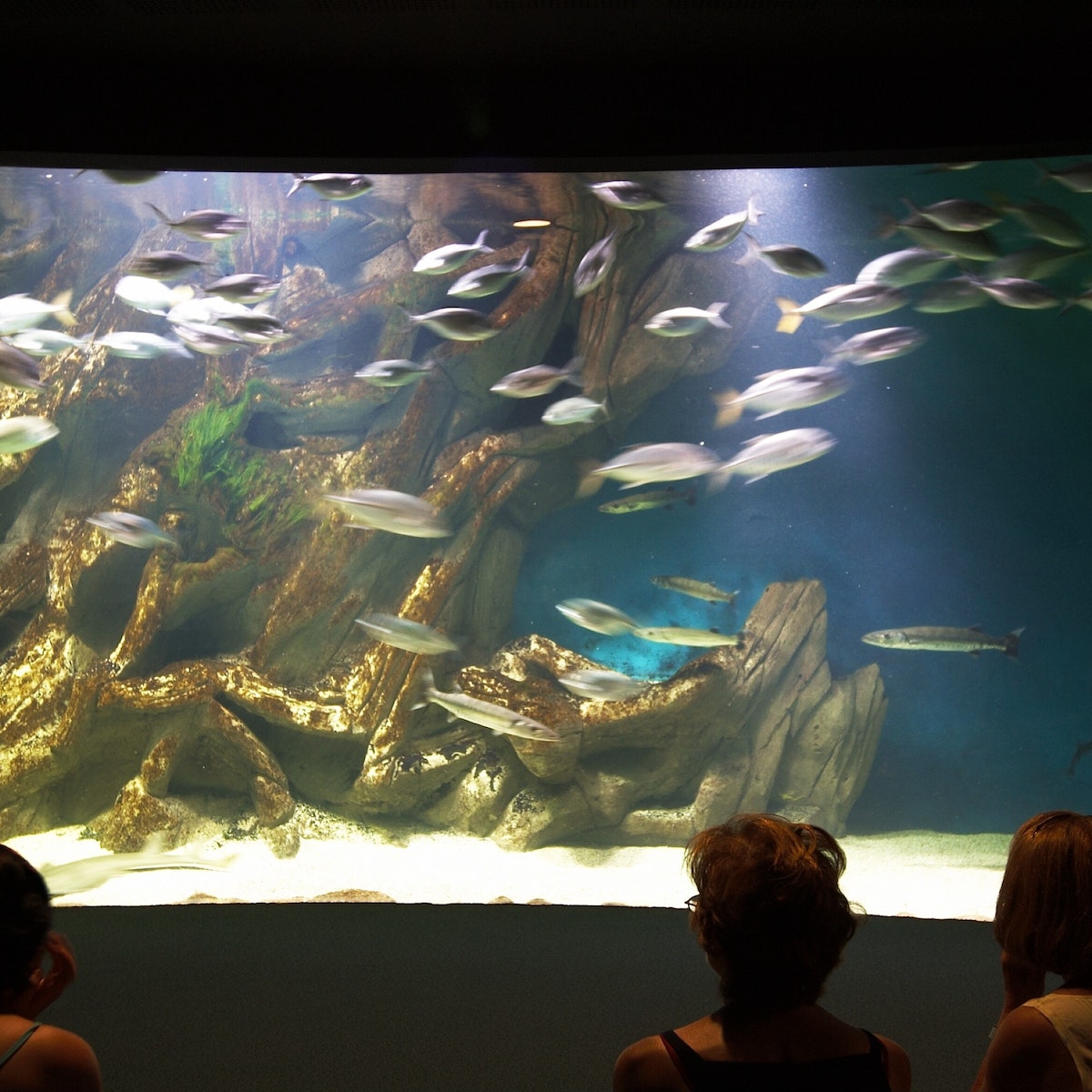 (GERMANY OUT) Frankreich, Cote de Beaute: Aquarium in La Rochelle (Photo by Rufenach/ullstein bild via Getty Images)