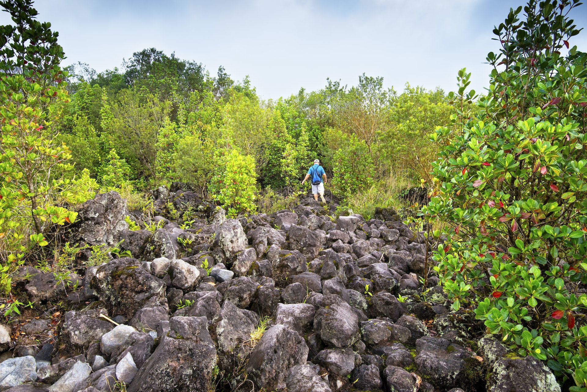 On the Sendero Las Coladas in Arenal Volcano National Park, a tourist climbs over the rocky remnants of the southernmost lava fields from the last major eruption of the Arenal Volcano in 1968.